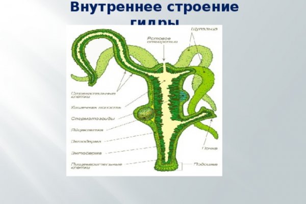Почему не могу зайти на кракен
