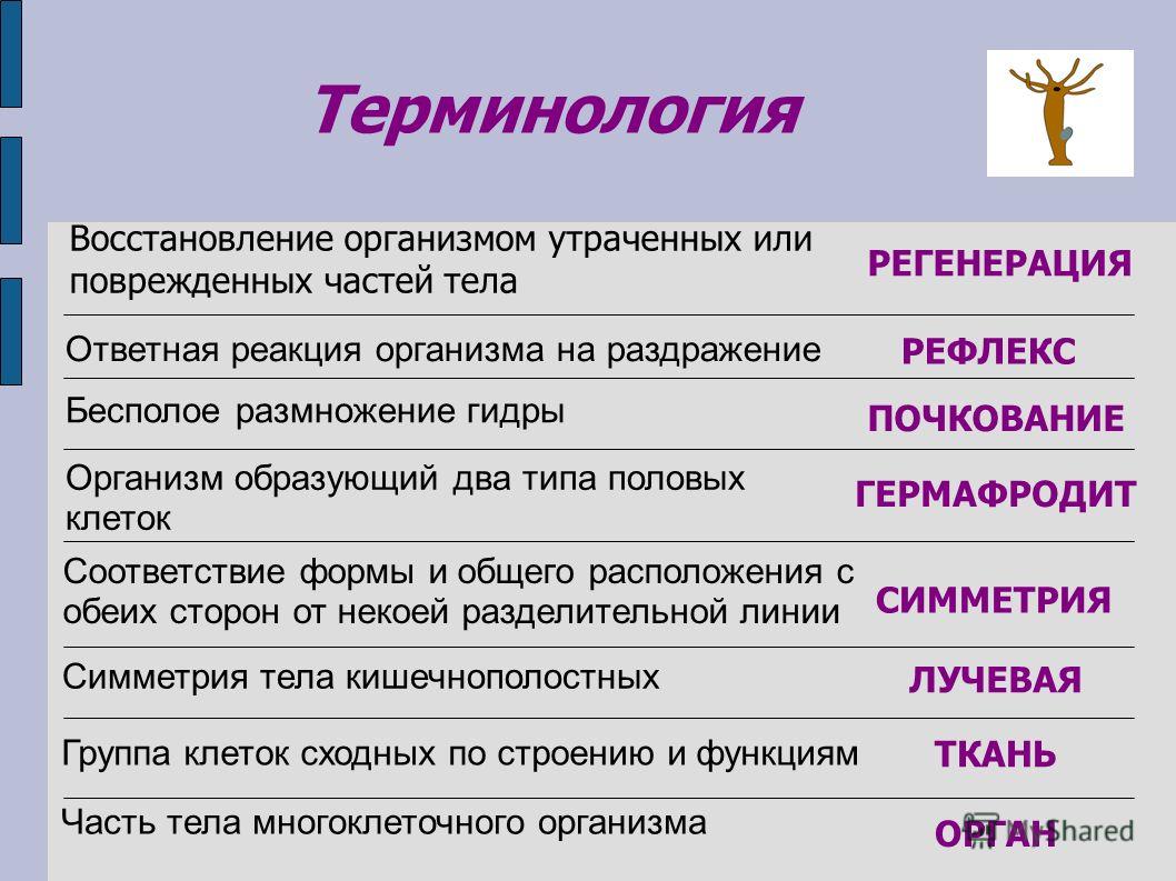 Найдется все kraken 2krn cc